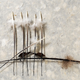 Image for article titled Delicate Images of Birds Painstakingly Clipped from Real Feathers
